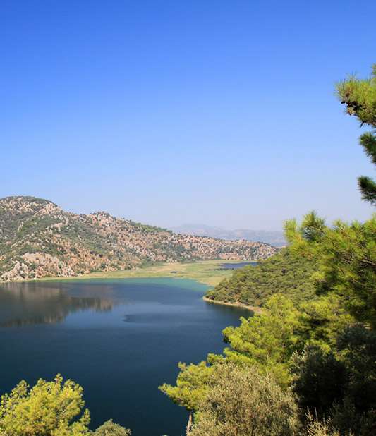 Dalaman Araç Kiralama