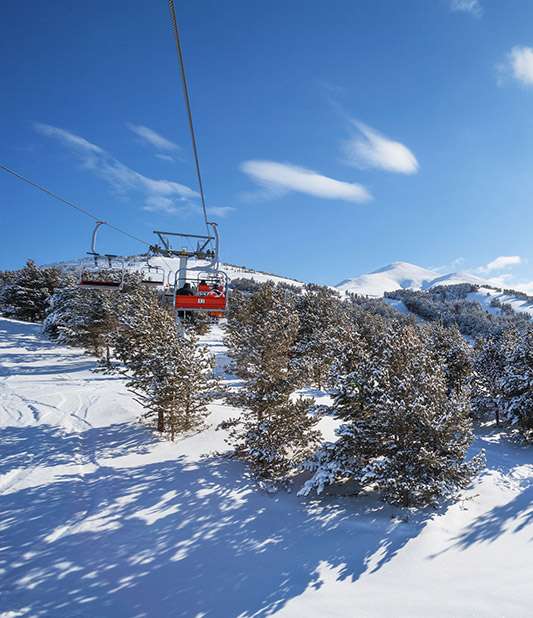 Erzurum Araç Kiralama