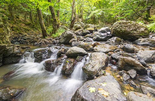 Yalova Gezilecek Yerler