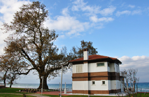 Yalova'ya Yola Çık