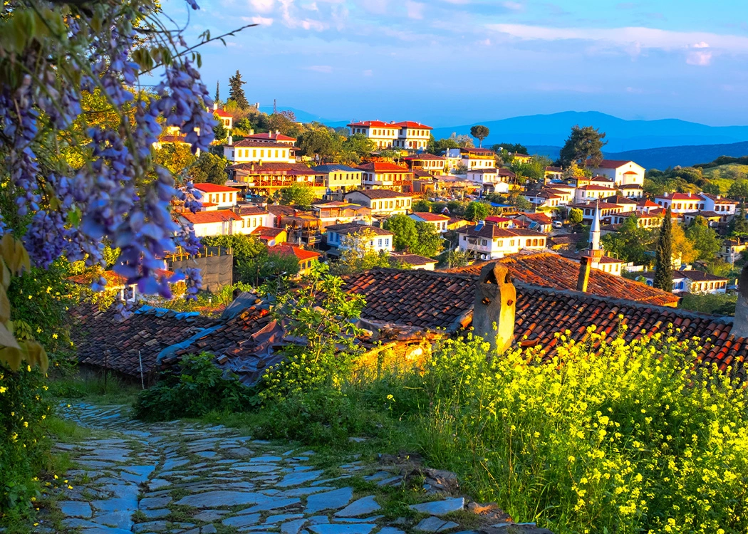 sirince-ve-tirede-koy-hayatini-kesfet