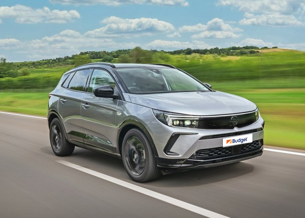 uzun dönem araç kiralama