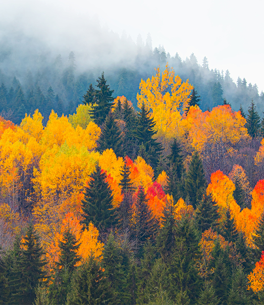 Kiralık Araçla Doğu Karadeniz’de Sonbahar