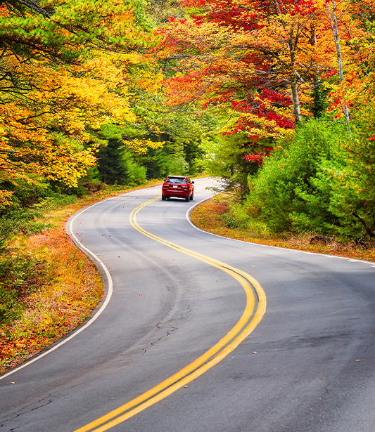 Sonbaharda En Çok Tercih Edilen Araç Modelleri