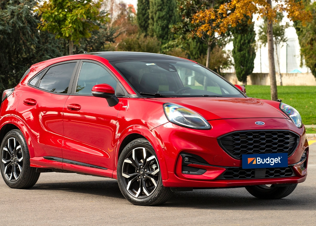 dogada-dayaniklilik-ford-puma