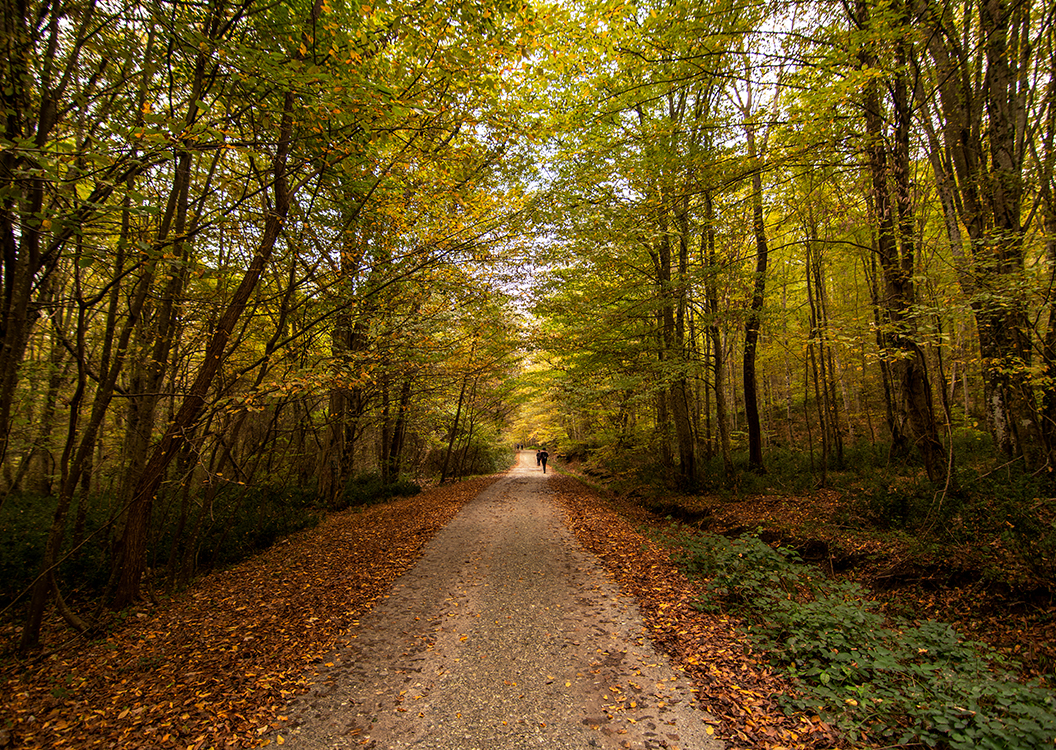 hafta-sonu-aracla-kesfedilebilecek-5-kasim-rotasi