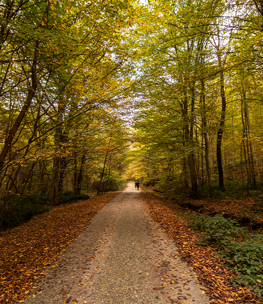 Şehir Dışına Kaçış: Hafta Sonu Araçla Keşfedilebilecek 5 Kasım Rotası