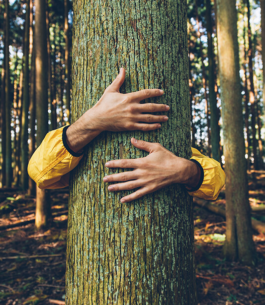 Macera Tutkunları için Birbirinden Güzel Doğa Aktiviteleri