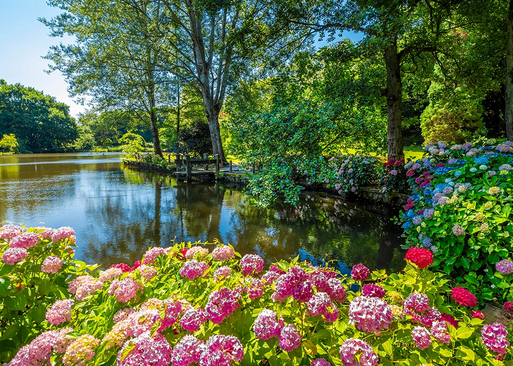 botanik-bahcelerde-bahar-bir-baska-guzel