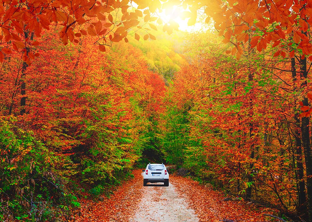 araç kiralama seyahar rotası