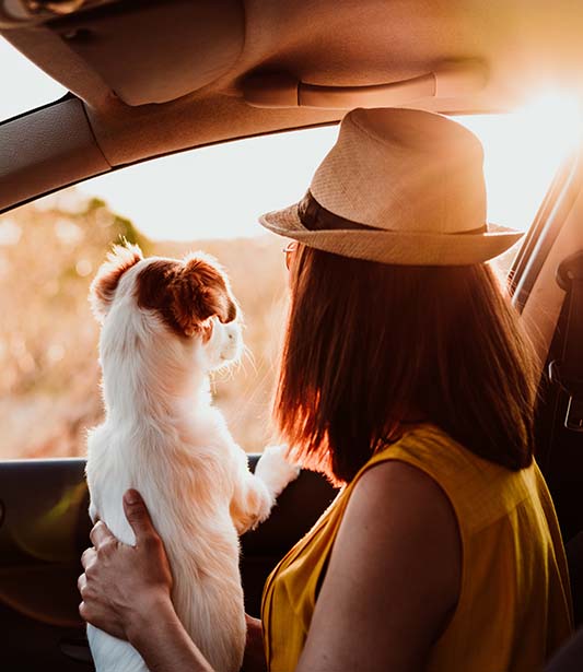 Ankara'da Bir Haftasonu için Gezilecek Yer Önerileri