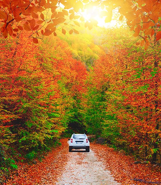 Türkiye'nin En Güzel Manzaralı Mutlaka Görmeniz Gereken Yolları