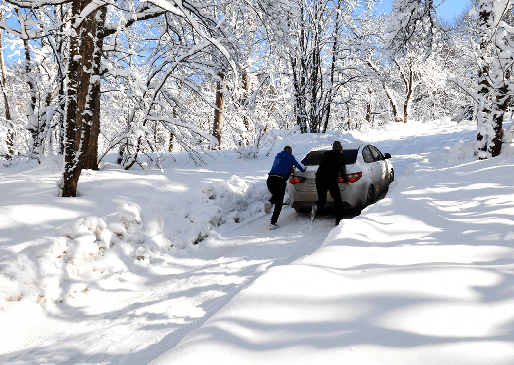 kış lastikli araç kiralama