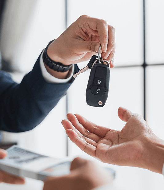 Benzersiz Budget Deneyimi ile Tanış